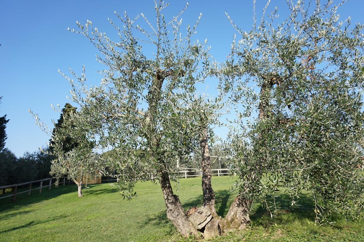 Villa Residenza Piandaccoli à Lastra a Signa Extérieur photo